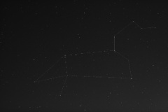 Leo outline 20200420